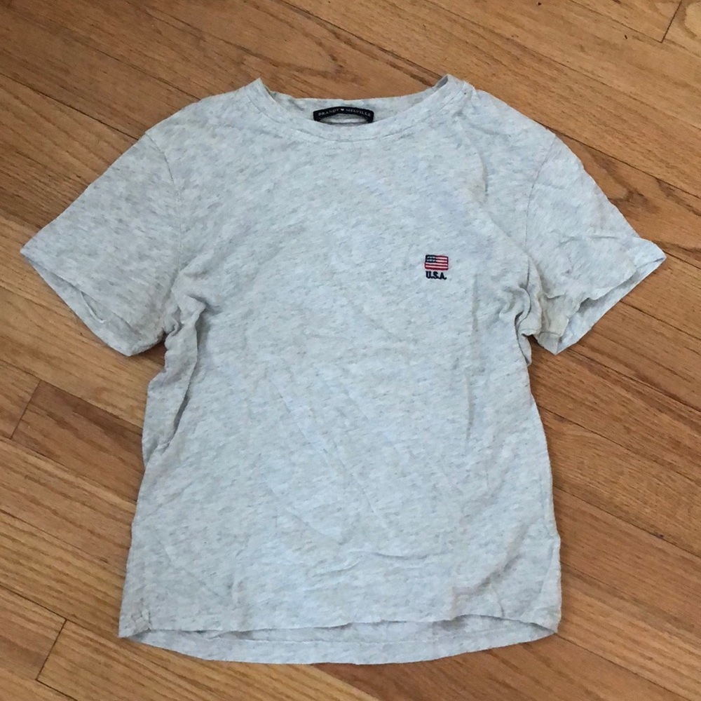Cropped Brandy Melville tee